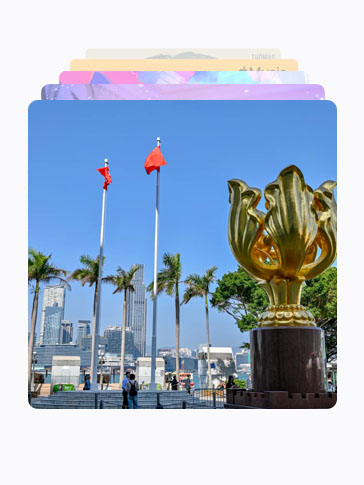政策及表格